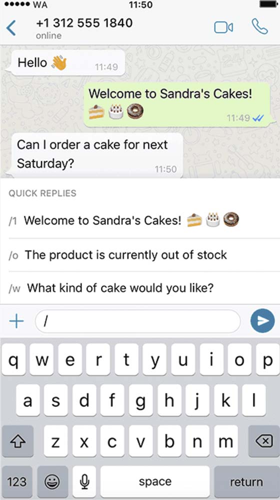 iOS'ta WhatsApp için casus uygulama